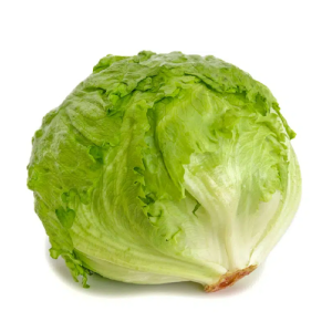 Lechuga