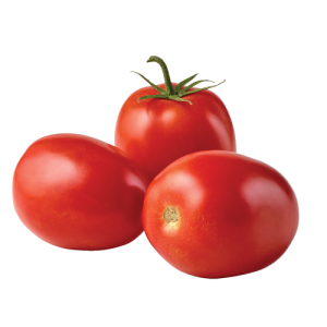 Tomate Roma