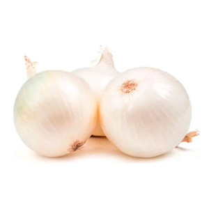 Cebolla Blanca